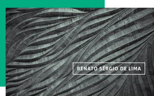 Governança para articular o sistema, por Renato Sérgio de Lima