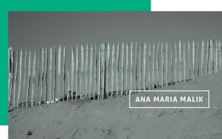 Cuidado preventivo: a meta a se buscar, por Ana Maria Malik